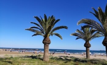 Platja Port de Sagunt
