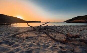 Es Tancats - Algaiarens