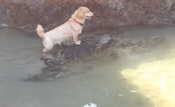 Playa de Cueva O de la Arena