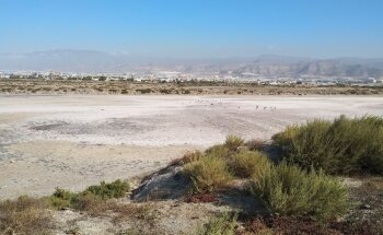 Playa de las Salinas