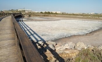 Playa de las Salinas