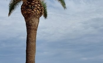 Platja de Moncofa