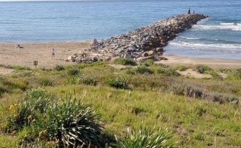 Playa de Cabopino