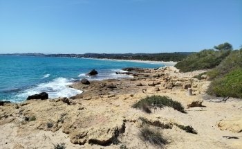 Platja Llarga