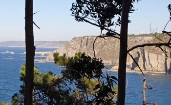 Playa de La Concha