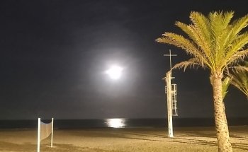 Platja de l'Arenal