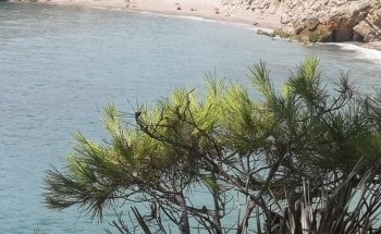 Platja de l'Home Mort