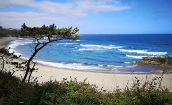 Playa de Frejulfe