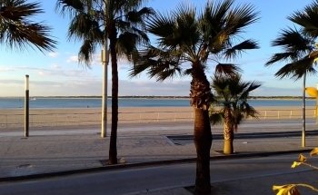 Playa de la Calzada