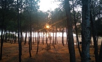 Playa de Valdearenas