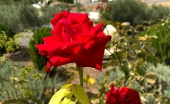 Playa de Valdearenas