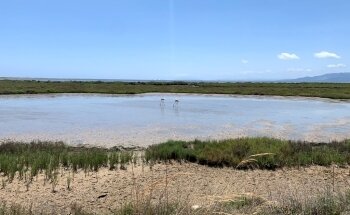 Playa del Trabucador