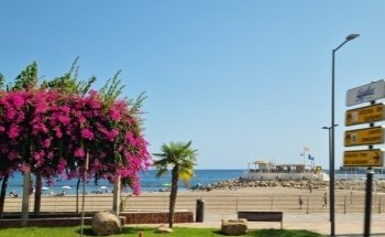 Playa de las Delicias