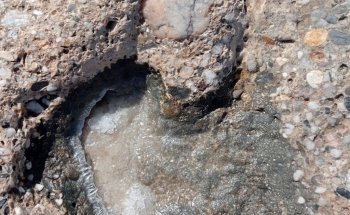 Playa del Algarrobico