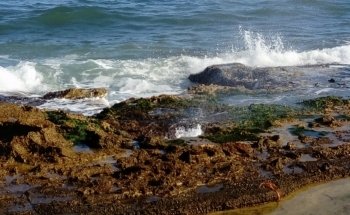 Platja de l'Estany Podrit