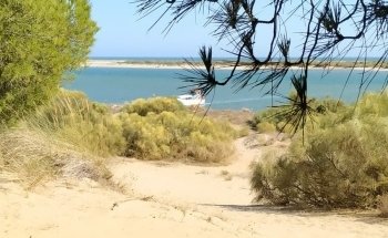 Playa del Portil