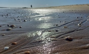 Playa de la Punta del Caimán