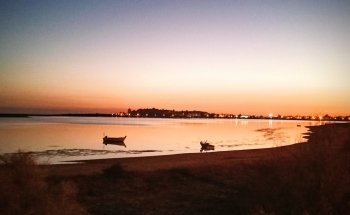 Playa de la Punta del Caimán