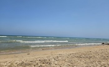 Playa de las Higuericas