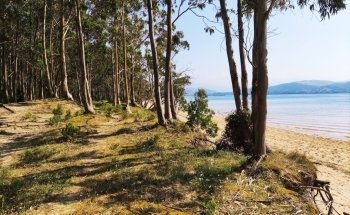 Playa del Regatón