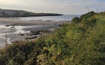 Playa de Bañugues