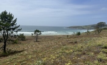 Praia de Nemiña