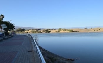 Playa de Maspalomas