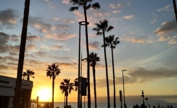 Playa de las Vistas