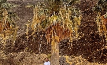 Playa de Las Teresitas