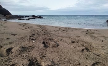 Playa de la Tejita