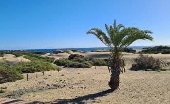 Playa del Inglés