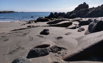 Playa De Los Abriguitos