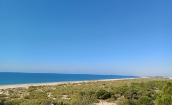 Green Beach