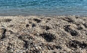 Playa de los Muertos