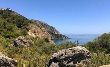 Playa Nudista de Cantarriján